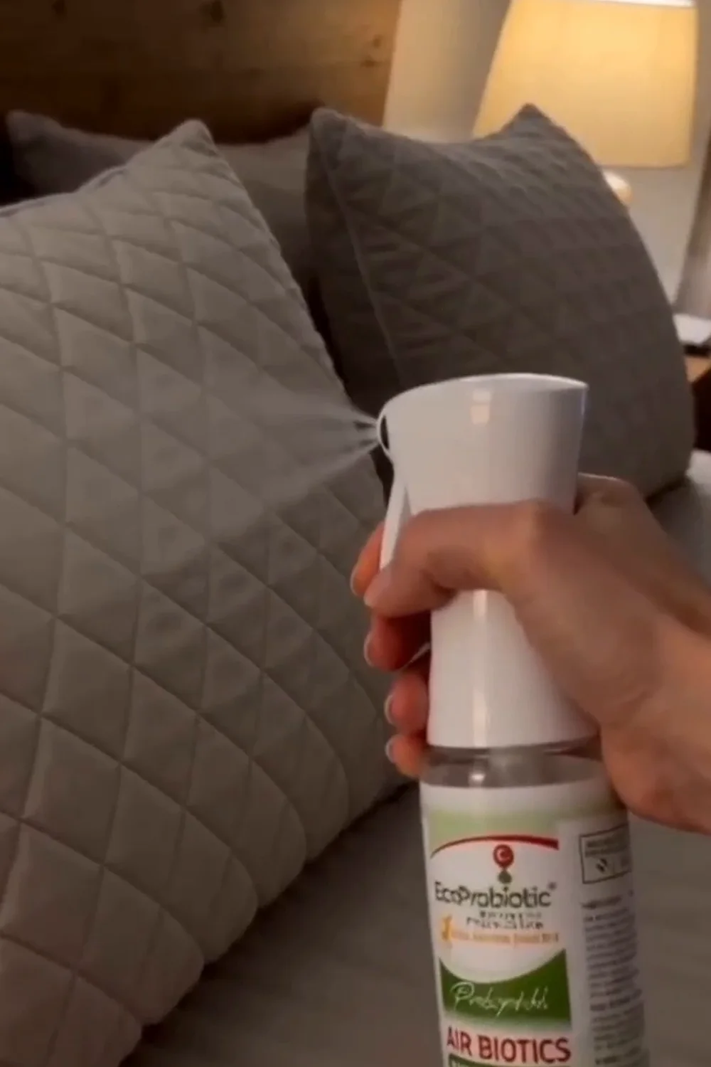 Air Biotics